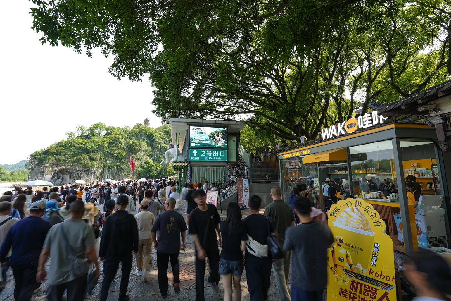 AYA03901.webp